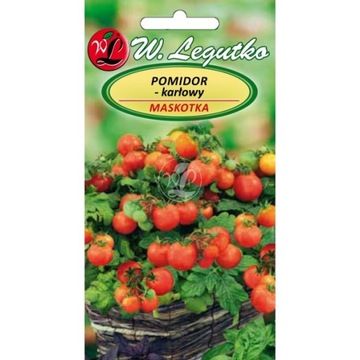 Pomidor Karłowy Maskotka LEGUTKO