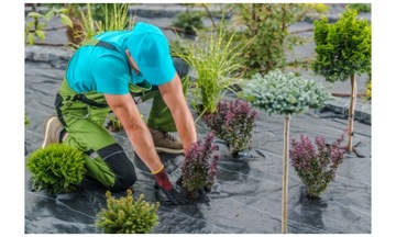 ТКАНЬ ANTIWEED AGROWN ТКАНЬ ANTIWEED ТКАНЬ ТОЛСТАЯ ЧЕРНАЯ 3,2х10м