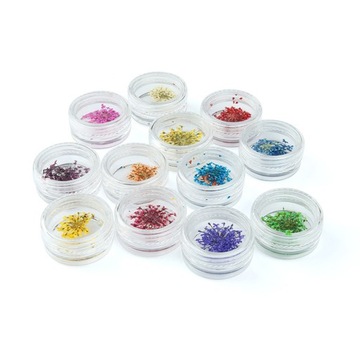 СУШЕНЫЕ ЦВЕТЫ СУХИЕ ЦВЕТЫ ДЛЯ НОГТЕЙ