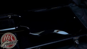 ГИЛЬДИЯ С-200 Т-Бёрд, 2022 г.