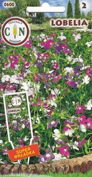 LOBELIA MIX koloru piękny okrywowy dywan kwiatowy