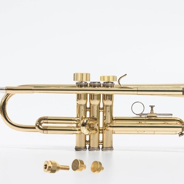 Изогнутый инструмент на основе саксофона.