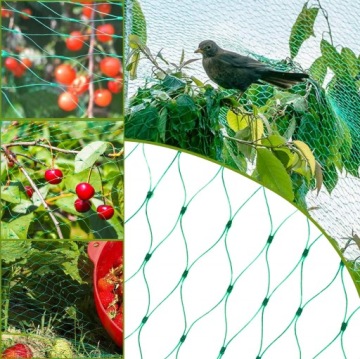 PROTECTIVE BIRD PROTECTION NETWORK 10x20 UV+HOLE