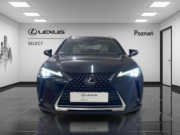 Lexus UX Crossover 250h 184KM 2019 Lexus UX 250h Prestige AWD Lexus UX 2.0 Prestige+P, zdjęcie 5
