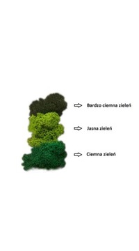 Финское панно из Крабового мха ПРЕМИУМ! Картина
