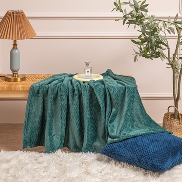 Одеяло из микрофибры PLED 200x220 WILLY