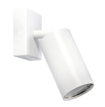 STRUHM Reflektor sufitowy ścienny MANAM biały