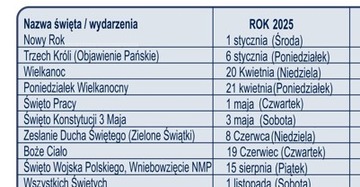 Biuwar Planer kalendarz 2025/2026 linia duży A2 podkład biurko z listwą L