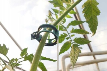 ПОДДЕРЖКА ДЛЯ ПОМИДОРОВ 120см + ЗАЖИМЫ ЗАЖИМЫ ДЛЯ РУЧОК 100 ШТ.