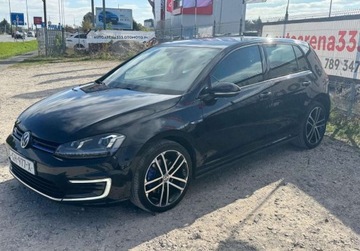 Volkswagen Golf VII 2015 Volkswagen Golf GTE 1.4BH 204Ps Full Ledy Navi Parktronik Bezwypadkowy ZAD