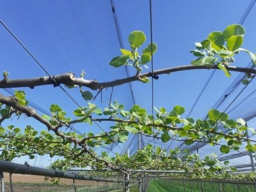 АНКЕРФИКС 16 СМ - 1 КГ - 230 ШТ.