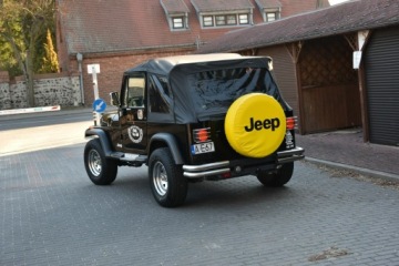 Jeep Wrangler I 1991 Jeep Wrangler YJ 2.5 125KM Manual 1991r. 4x4, zdjęcie 4