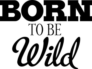 NAKLEJKA na samochód Born To Be Wild Nalepka auto