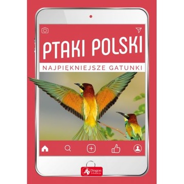 PTAKI POLSKI NAJPIĘKNIEJSZE GATUNKI OPIS!