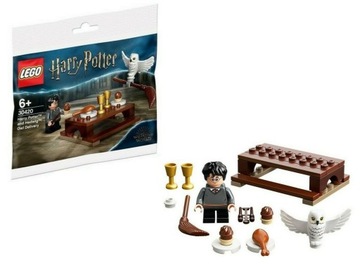 LEGO Harry Potter 30420 Harry i Hedwiga