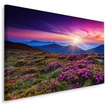 Obraz Piękny Krajobraz Górski 120x80 /49545683