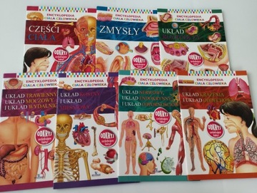 Zestaw ENCYKLOPEDIA CIAŁA CZŁOWIEKA Nerwowy, Rozrodczy, Części Ciała, Krąż