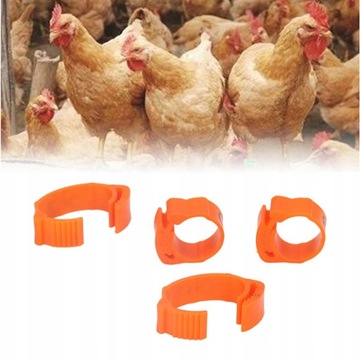 50X ОБЕДЫЧКИ ДЛЯ НОГ ПТИЦЫ, ПРОНУМЕРОВАННЫЕ КОЛЬЦА