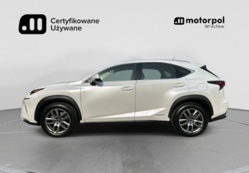 Lexus NX I SUV Facelifting 300h 197KM 2019 Lexus NX Elegance, Hak, Tempomat, Podgrzewane fotele, Rozpoznawanie znakow, zdjęcie 2