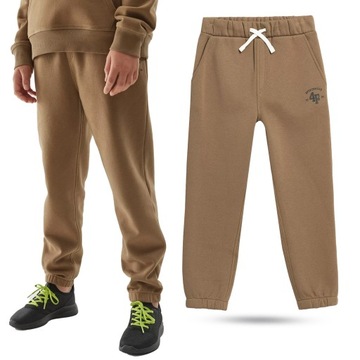 ДЕТСКИЕ СПОРТИВНЫЕ БРЮКИ 4F ДЛЯ МАЛЬЧИКОВ, ХЛОПОК AW23M419