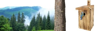 Скворечник для синиц и мелких птиц