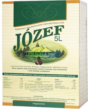 JÓZEF LECZNICZA WODA MINERALNA 5L - Z KRANIKIEM