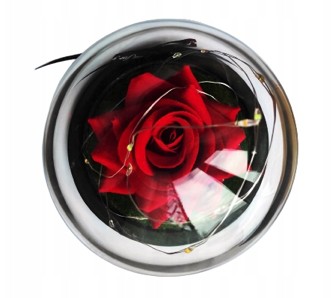 Вечная роза Светодиодный купольный декоративный цветочный ящик