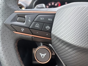 Cupra Formentor Crossover Facelifting 2.0 TSI 204KM 2026 Cupra Formentor 2.0 TSI 204 KM 7-biegowa automatyc, zdjęcie 20