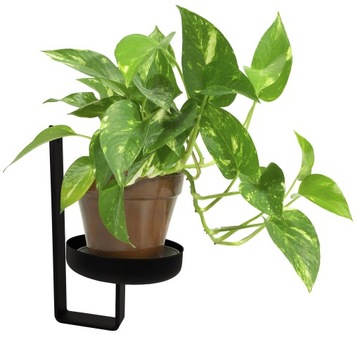 КЛАССИЧЕСКАЯ НАСТЕННАЯ ПОДСТАВКА ДЛЯ ЦВЕТОВ С ЧЕРНОЙ ПОДСТАВКОЙ