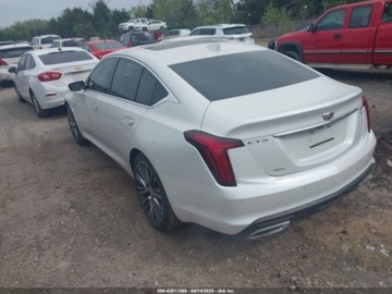 Cadillac 2024 Cadillac CT5 Premium Luxury 2024 3.0l 3.0 Benzyna 335KM, zdjęcie 3