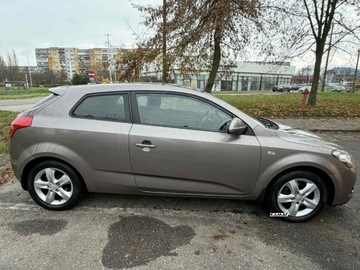 Kia Ceed I Hatchback 1.4 109KM 2008 Kia Ceed Kia Ceed 1,4 Benzyna Coupe Zamiana 1.4 Benzyna 109KM, zdjęcie 13
