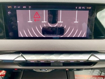  DS Automobiles DS 4 SALON PL / VOOL / SKÓRA / PAN, zdjęcie 12