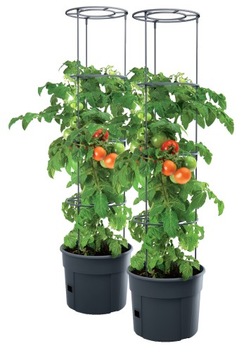 2x Doniczka do uprawy pomidorów Planter IPOM300