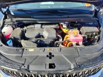 Kia Carnival II 2025 Kia Carnival EX 2025 1.6 Hybryda Plug-in 242KM, zdjęcie 6