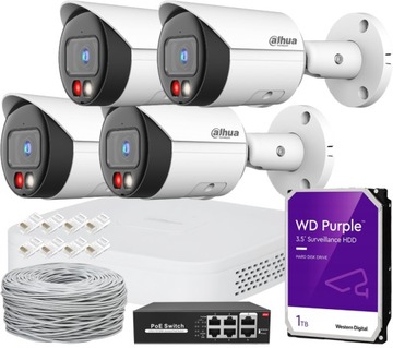 MONITORING DO DOMU IP 4 KAMERY DAHUA WizSense 8 Mpx + REJESTRATOR + DYSK