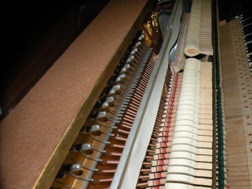 МОЛОДОЙ ЧАНГ ПИАНО лицензия Yamaha !!!!