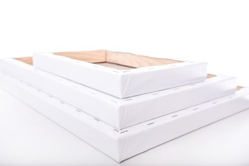 PODOBRAZIE BAWEŁNIANE CORTE 3D 50X50cm 322g