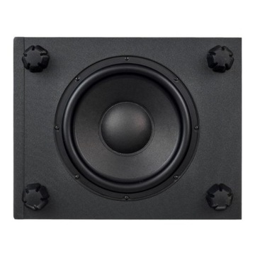 ADAM AUDIO T10S - сабвуфер