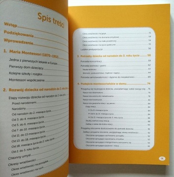 МЕТОДИКА МОНТЕССОРИ ДЛЯ ТРЕТЬЕГО ГОДА, ПУССЕН