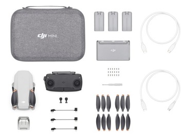 Dron DJI Mini SE Fly More Combo 2000 m 2600 mAh