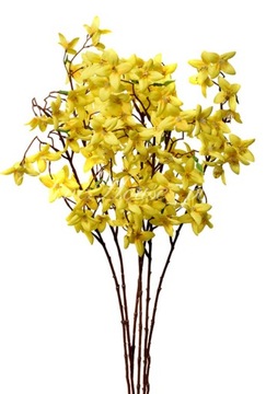 FORSYCJA SZTUCZNA GAŁĄZKI BUKIET DODATEK STROIK WIOSNA WIELKANOC 60cm