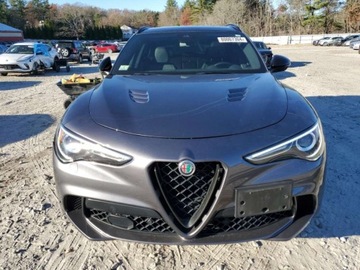 Alfa Romeo Stelvio 2022 Alfa Romeo Stelvio Quadrifoglio 2022 2.9l 2.9 Benzyna 505KM, zdjęcie 5