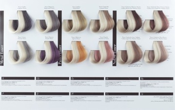 BE COLOR БЕЗ АММИАЧНАЯ КРАСКА 12 МИНУТ 1.11 100мл