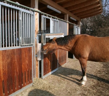 Техасская щетка для крупного рогатого скота и лошадей