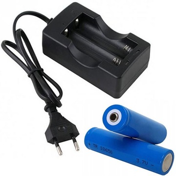 UNIWERSALNA ŁADOWARKA SIECIOWA + 2 AKUMLATOR 8800mAh BATERIA OGNIWO 18650