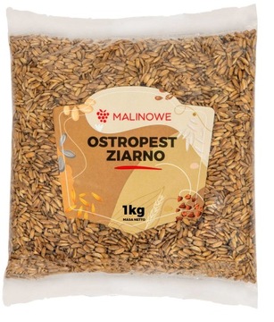 OSTROPEST PLAMISTY ZIARNO 1kg ŚWIEŻY