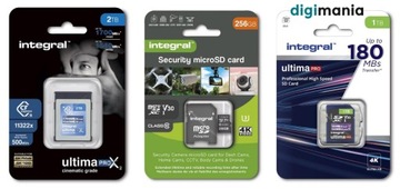 INTEGRAL Professional SDXC V30 UHS-I U3 64 ГБ