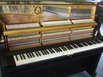 Пианино Bluthner после ремонта - черное.