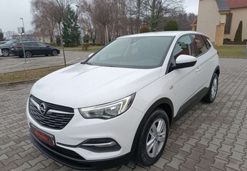 Opel 2018 Opel Grandland X Pierwszy wlasciciel - bezwypadkowy - serwisowany - polecam, zdjęcie 2