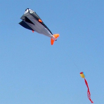 Latawiec 3D Delfin Dzieciństwo Fioletowy Akcesoria Parafoil Delfin Pomarańc